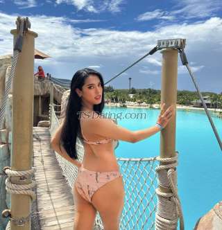 trans girl Amanda27 9691959 trans girl Amanda27 9691959