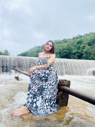 trans girl Amanda91 7847146