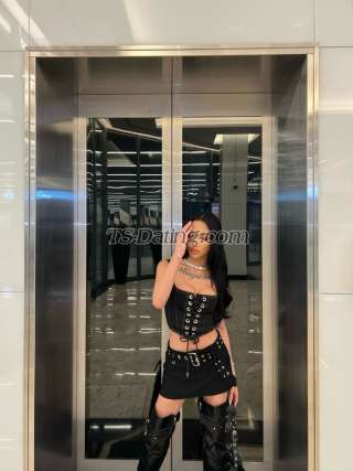 trans girl amandacy 5804789