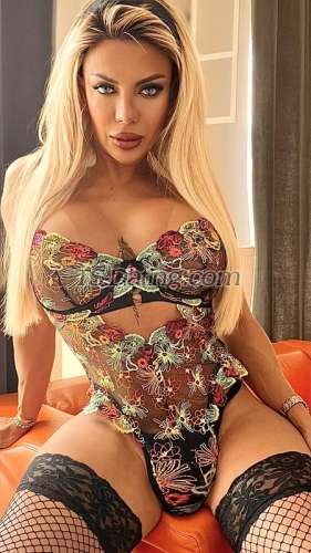 trans girl AmandaLear 6031368