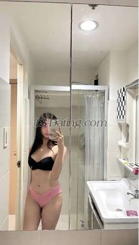 trans girl AmaraChua 5396787 trans girl AmaraChua 5396787