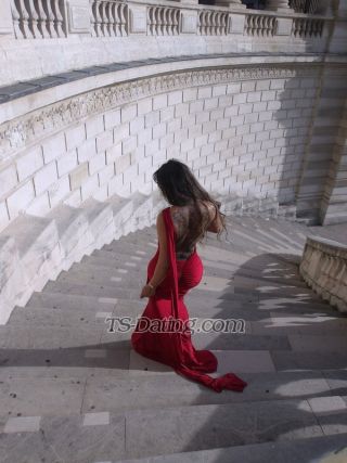 trans girl Amayla 8620276