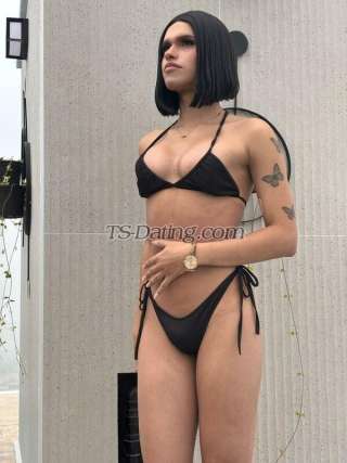 trans girl AmbarMendoza 3443975 trans girl AmbarMendoza 3443975