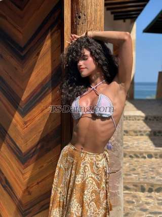 trans girl AmbarMendoza 3444024 trans girl AmbarMendoza 3444024