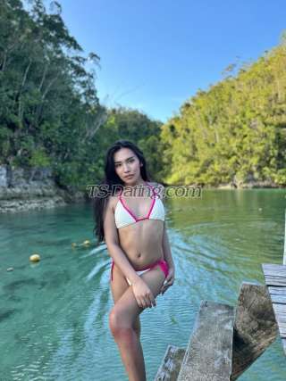 trans girl Amberfox08 5352252