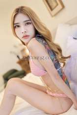 Ameliasuasa Bangkok Transex Can I help you make your night special and better? 😘 My
cock 7 inch 👍🏻✅🔰WhatsApp:
+66973979555🔰Line : noohang96🔰
Telegram : @kitty99966  Hello, please call me Kitty.
🥰I am a world famous porn star ⭐️6M
Views‼️I have a clean personality and a nice smell.
Look like lady small body  , It smells really
good.Beautiful figure, good figure, white skin good
✅My pictures are 100% like me. ✅I have
beautiful feet and hands with beautiful, mesmerizing
nails.♥️ 😎Good service everything
💯📌You will definitely be impressed with the best
service in your life. 💯 Then you will definitely come
back to see me again. 😉❤️ I'm both
bottom&Top♥️ Cock White skin is long hard &
big♥️ Have big cum💦I can do everything
#incall #outcall 