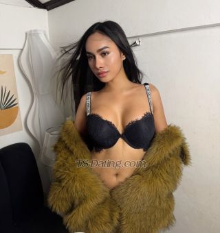 trans girl Amirahgray 5234377