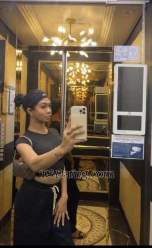 trans girl Amirasohott 9659818 trans girl Amirasohott 9659818
