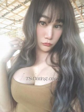 trans girl AmmyTS 9908564 trans girl AmmyTS 9908564