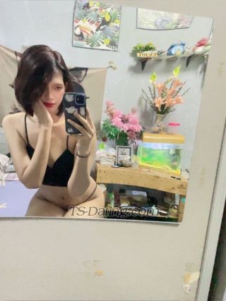 trans girl Amoramu17 4479717