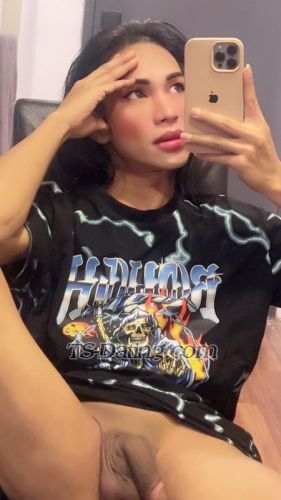 trans girl Amoreboth69 1426905 trans girl Amoreboth69 1426905