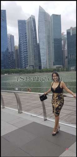 trans girl Amyamore11 5991583 trans girl Amyamore11 5991583