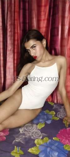 trans girl Amyra19 7913459 trans girl Amyra19 7913459