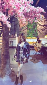 Amy scarlet Delhi Transex 'Brains, beauty, and a little rebellion-don't confuse
confidence with attitude.'

“I am more than a
pretty face — I am a professional model who carries
herself with elegance, confidence, and allure. My background
in modeling has shaped my sense of style, poise, and
presentation, allowing me to bring a rare sophistication
that sets me apart from the rest.
Based in Delhi yet
open to international experiences, I welcome distinguished
gentlemen who value discretion, charm, and the company of
someone truly unique. Each encounter with me is not just
time spent — it is an experience tailored with grace,
beauty, and genuine connection.
If you are seeking
someone unforgettable, someone who knows her worth and
reflects it in every detail — from her polished appearance
to her refined presence — then you have found her. I am
not here to be one of many. I am here to be the one you’ll
remember.”
                       
        