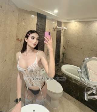trans girl Amyscarlet 2031203 trans girl Amyscarlet 2031203