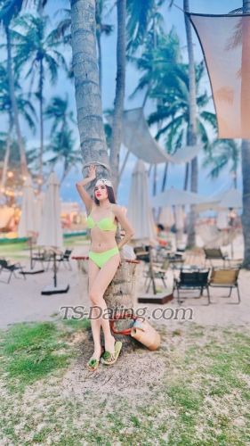 trans girl AnNhienn 0666270 trans girl AnNhienn 0666270