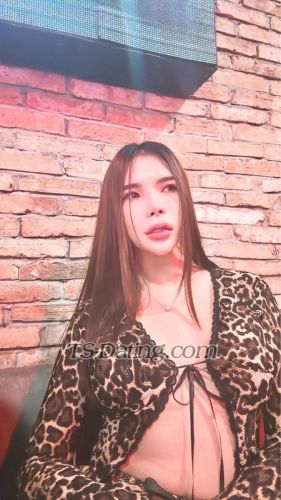 trans girl AnNhienn 2366153 trans girl AnNhienn 2366153