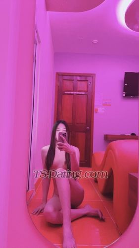 trans girl AnNhienn 7346913