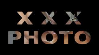 trans girl DanyLima 8849042 trans girl DanyLima 8849042