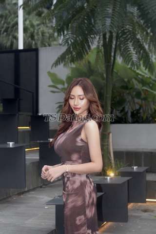 trans girl Anaaa 3767947 trans girl Anaaa 3767947