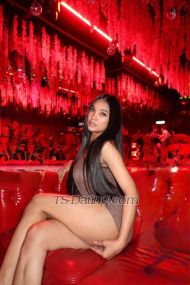 Anastasha lil Kota Kinabalu Transex About meHello my name is anastasha from philliphines
I'm halfIndonesia half pilipina lady boy wanna try me
and i will give you a 100% satistaction babe! and will give
your all fantasy no rush and will make you happy until make
you satisfied! Let's make you experience Asian pilipina boy
have a finch and verry strong cock! What you see in the
picture what you get! Book me now