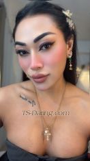 Andiwang Delhi Transex If you guys use telegram, you can add me by the name -@andi1_4 
add me on telegram by this number. Also
Andi here 

Well a short note  about me,
The mountain girl in a metro city,

looking for real connection only and genuine ones only.



Height 5.8
Fair skin
I love being dominated and yes hindi ones are my best desire.

 alright, I’m looking forward to meet you guys,.


