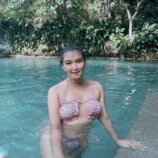 trans girl AndreaSexy27 8057015 trans girl AndreaSexy27 8057015