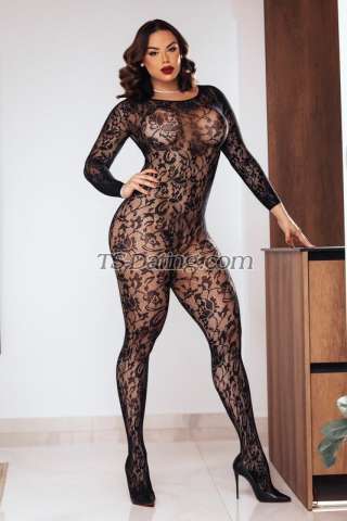 trans girl Andreafitnes 6096571 trans girl Andreafitnes 6096571