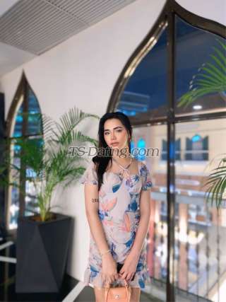 trans girl Andreanicole 3817798