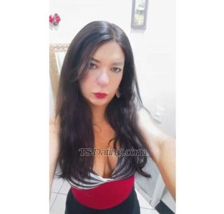 trans girl AndressaAlves 4976014 trans girl AndressaAlves 4976014