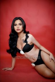 Ane69 Wanchai Transex Fully Functional hot ladyboy! Just arrived‼️‼️‼️
POPPERS AVAILABLE 🤤CAN DO
PARTY❄️🧊‼️‼️‼️✅ Whatsapp: +63
9552705119✅ Telegram: @Anne0513✅ Line:
@filipinaanne13✅ Viber: +63
9552705119Open for…Meet Up
💦Cam show 💦Selling xxx Content/Videos
💦Hi my name is Anne, I’m 25 years old
asian ladyboy, im classy, sensual, genuine and well educated
Shemale which can go all the way whether you want it TOP or
BOTTOM! With my 6 inch cut cock very functionalI enjoy
being top and bottom, i will give you a 100% satisfaction
and G experience, i am here to provide you with the things
that will turn you on.I can offer you the following
types of services:Humiliation (giving),
MassageOral (receiving), Oral (with protection), Oral
(without protection), Parties, Penetration (protected),
Pornstar experience, Rimming (giving), Rimming (receiving),
Roleplay, Spanking (giving), Spanking (receiving), Strap-on,
Striptease, Tie & tease, Toys, Adult baby minding, Anal
play, BDSM, Car meets, CIM, Cross dressing, Dinner dates,
Disabled clients, Domination (giving), Facials, Fetish,
Filming, Fingering, Anal training, Anal, Fisting (giving),
Fisting (receiving), Food sex, Foot worship, French kissing,
Gang bangs, Girlfriend experience, Hand relief.Come
tell me the type of services you would
like👉 Deepthroat Blowjob/ Sucking👉
Fucking/ Hardfucking👉 BDSM/ Domination /
humiliation👉 Cross-dressing/ Sissy
feminisation👉 Travel Companion / Travel
Invite👉 Dinner dateDM me for
more🍆💦