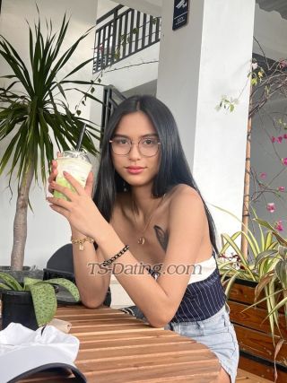 trans girl Ane69 3544528