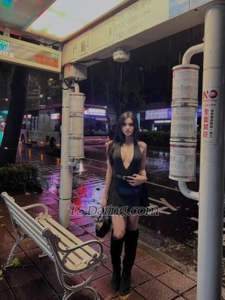 trans girl AngelOF 3048531