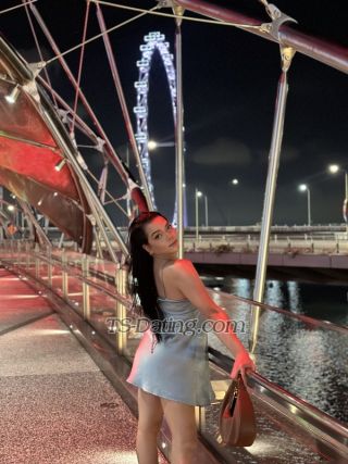 trans girl AngelikaTS 1247628 trans girl AngelikaTS 1247628