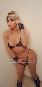 Ango007 Beirut Transex شيميل عربيه توب وبوتوم ومسترس  im
arab shemale top and botomSexy perfect shemale with 20
cm hard active Dick  and passive  is ready for u all coupels
slaves bottom and I have big round ass whatsapp me everybody
are welcome im mistress and dominate i like slave people see
u dogs 