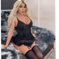 Ango007 Beirut Transex شيميل عربيه توب وبوتوم ومسترس  im
arab shemale top and botomSexy perfect shemale with 20
cm hard active Dick  and passive  is ready for u all coupels
slaves bottom and I have big round ass whatsapp me everybody
are welcome im mistress and dominate i like slave people see
u dogs 