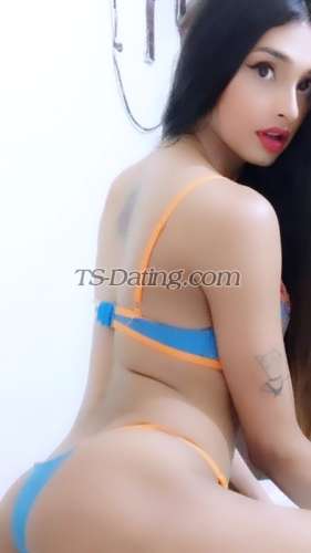 trans girl Ankita22 6478457 trans girl Ankita22 6478457