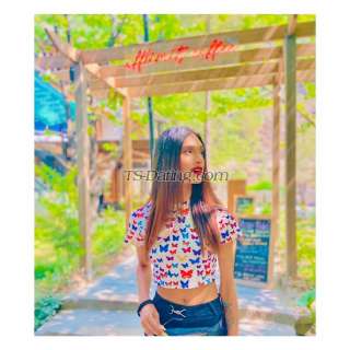 trans girl Ankita22 9795003 trans girl Ankita22 9795003