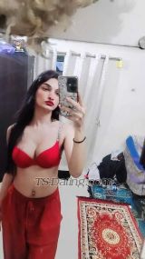 Ankyhott Navi Mumbai Transex Hello Guys....... Anky is hereYour Dream Girl Is
HereSexy And Hot Shemale with  monster cockBDSM
QUEENCD SESSIONSUGAR GirlFriendVIDEO CALL
SERVICERomantic sex chat with nude s picsAND
ETC.....📍 koparkhairne With place AND 100%
safeINCall E............OUTCALL ALSO AVAILABLE..
Mumbai to ALL TYPE OF SERVICE
AVAILABLE CONTACT ME NOW....Fake People Stay Away
.....FOLLOW ME ON INSTA (ANKYHOT) 📸 please
visit