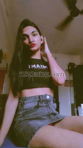 trans girl Ankyhott 1706029 trans girl Ankyhott 1706029