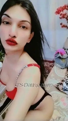 Shemale Ankyhott 9122406 Shemale Ankyhott 9122406