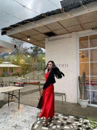 trans girl AnnaLoula 3462672 trans girl AnnaLoula 3462672