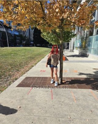 trans girl Annabellelove 9277494 trans girl Annabellelove 9277494