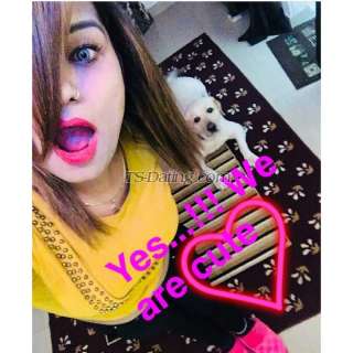 trans girl Annagill26 8211076