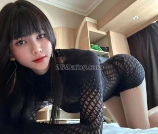 trans girl Annapham 2512560 trans girl Annapham 2512560