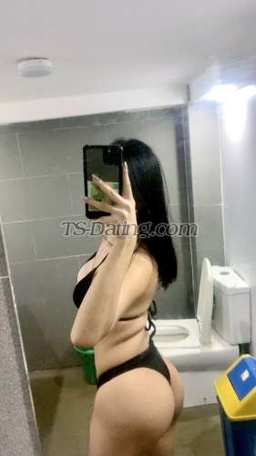 trans girl Annesalonga11 5405219 trans girl Annesalonga11 5405219