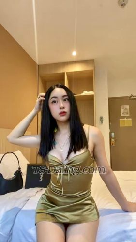 trans girl Annesalonga11 6575688 trans girl Annesalonga11 6575688