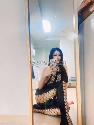 trans girl Annysexy44 0431795 trans girl Annysexy44 0431795