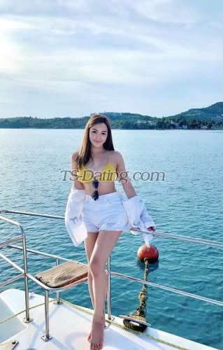 trans girl Annytrans girl 0897335 trans girl Annytrans girl 0897335