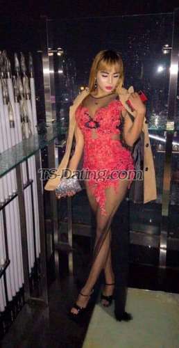 trans girl Anyequeen 9341258 trans girl Anyequeen 9341258